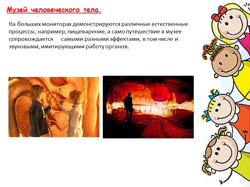 Музей человеческого тела. На больших мониторах демонстрируются различные естественные    процессы, например,